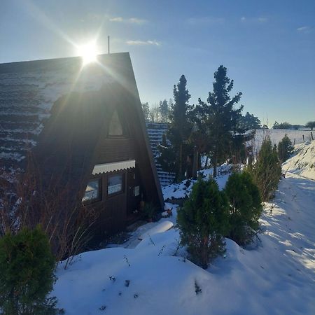 Haus Am See Willingen Willingen  Esterno foto