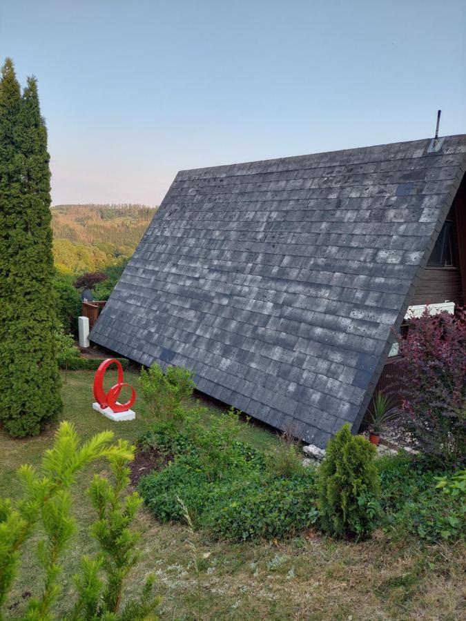 Haus Am See Willingen Willingen  Esterno foto