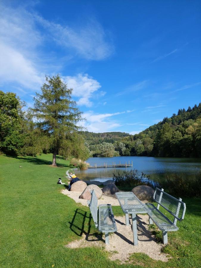 Haus Am See Willingen Willingen  Esterno foto