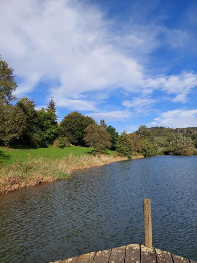 Haus Am See Willingen Willingen  Esterno foto