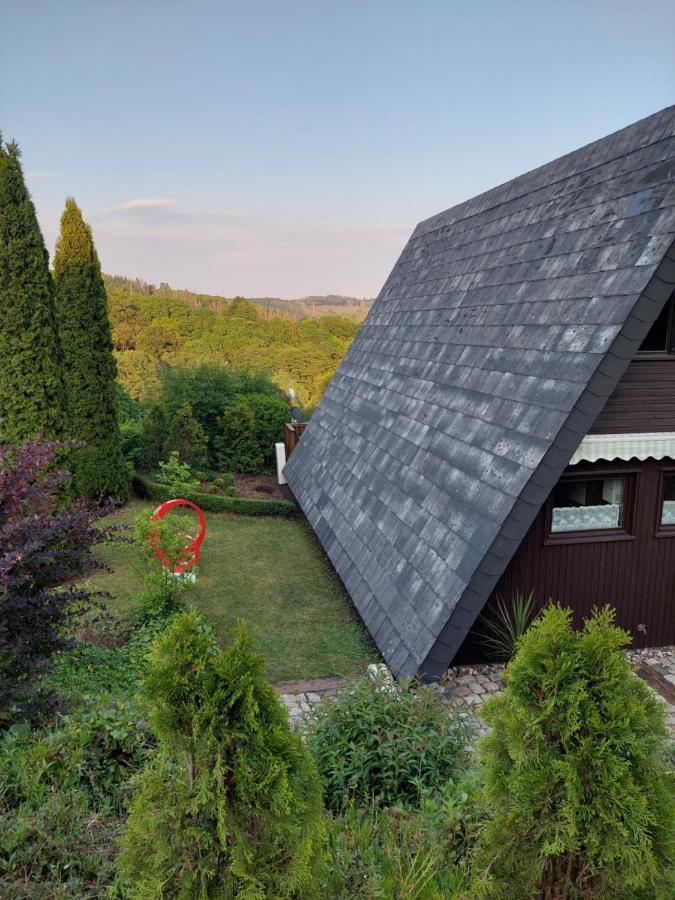 Haus Am See Willingen Willingen  Esterno foto